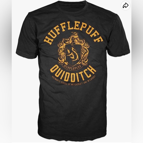 Harry Potter Hufflepuff Quidditch Mens Hogwarts T-Shirt X29-21 - Picture 1 of 5